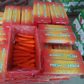 China fresh carrot factory supply, red carrot export quality 2021